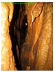 BushwackerCaveApril2007024.jpg