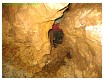 Hamilton_Cave_July_2006041.jpg