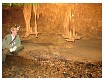 Hamilton_Cave_July_2006049.jpg