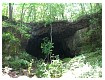 Hamilton_Cave_July_2006064.jpg