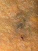 Secret_cave_167_Bat_Skeleton_in_Flowstone4.jpg