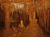 Secret_cave_167_Fried_Egg_Room8.jpg