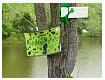 Spring_MVOR06027.jpg